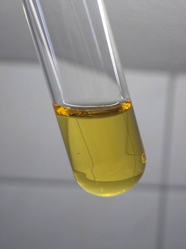 Taxus Brevifolia FX Oil Exporter in India